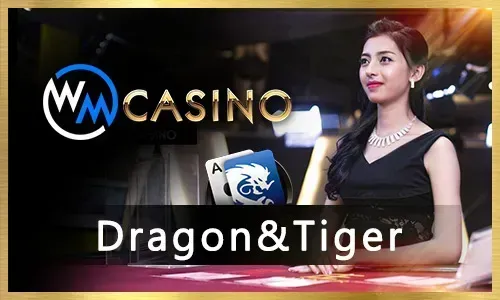 VA Gaming Provider at yy777